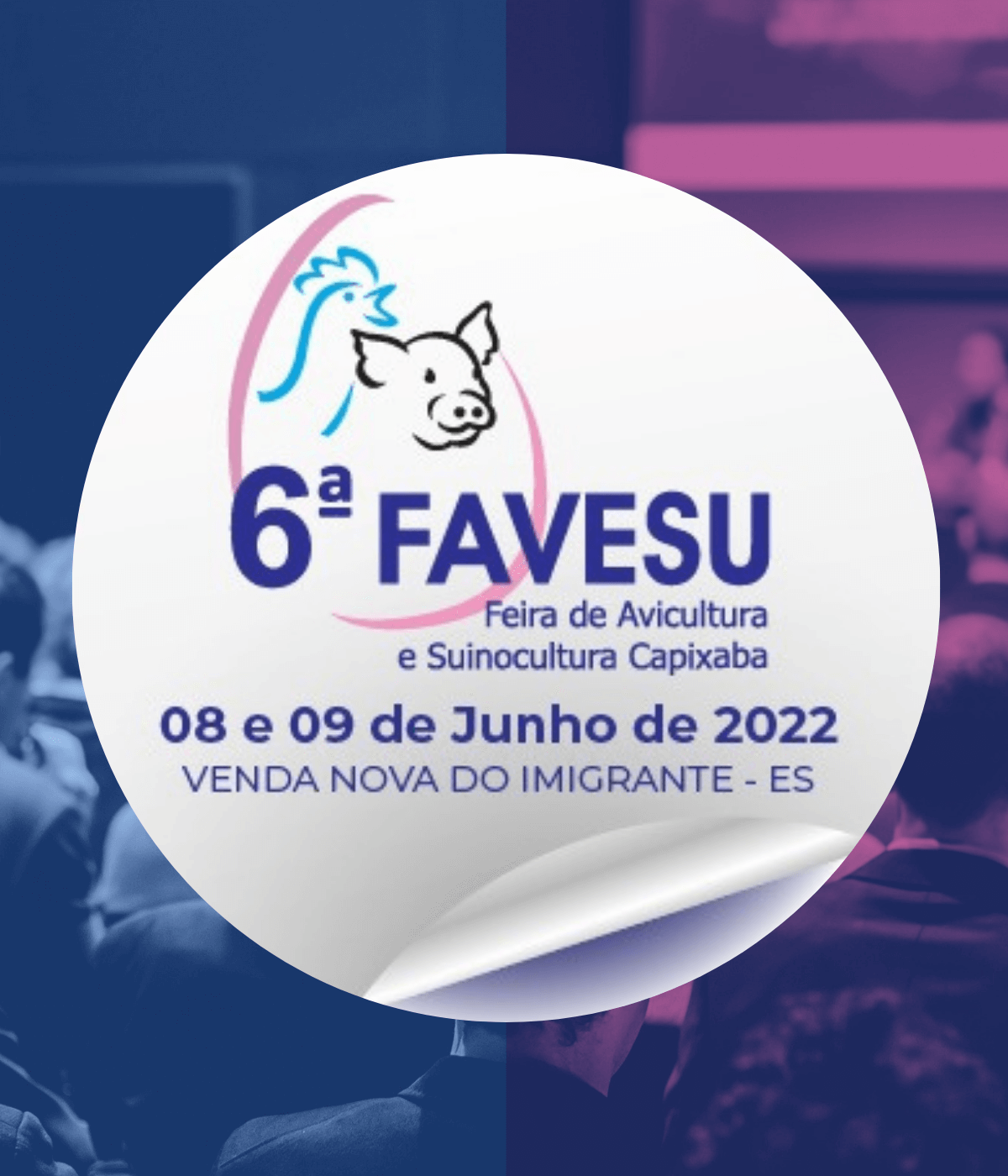 Reunião Conjuntural da 6ª FAVESU debate os números e as perspectivas para os setores avícola, suinícola e o mercado de grãos