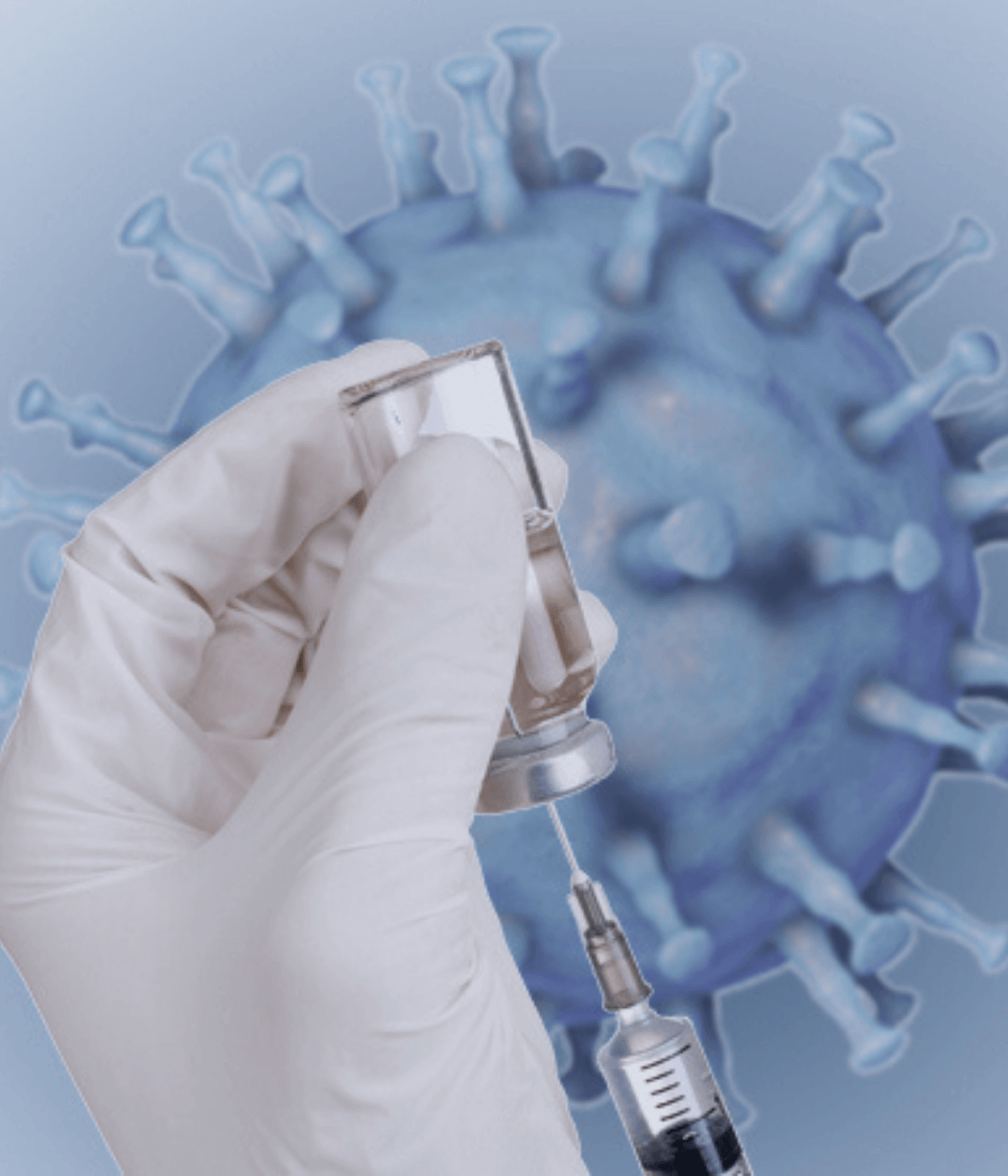 Os avanços no desenvolvimento da vacina contra a Peste Suína...