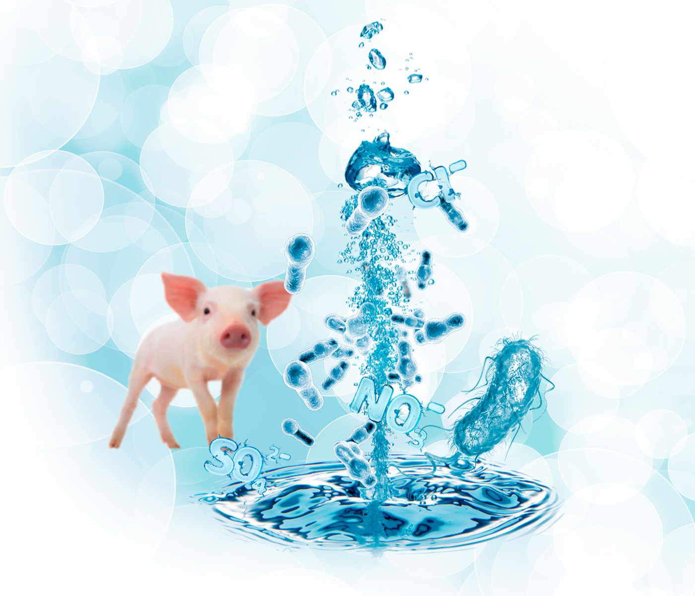 Análisis del agua dentro de la producción porcina