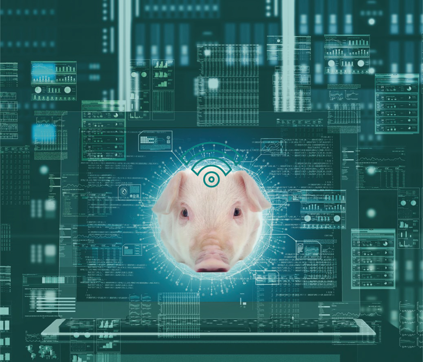Big Data & Tecnología de sensores – ¿Por qué digitalizar las granjas porcinas?