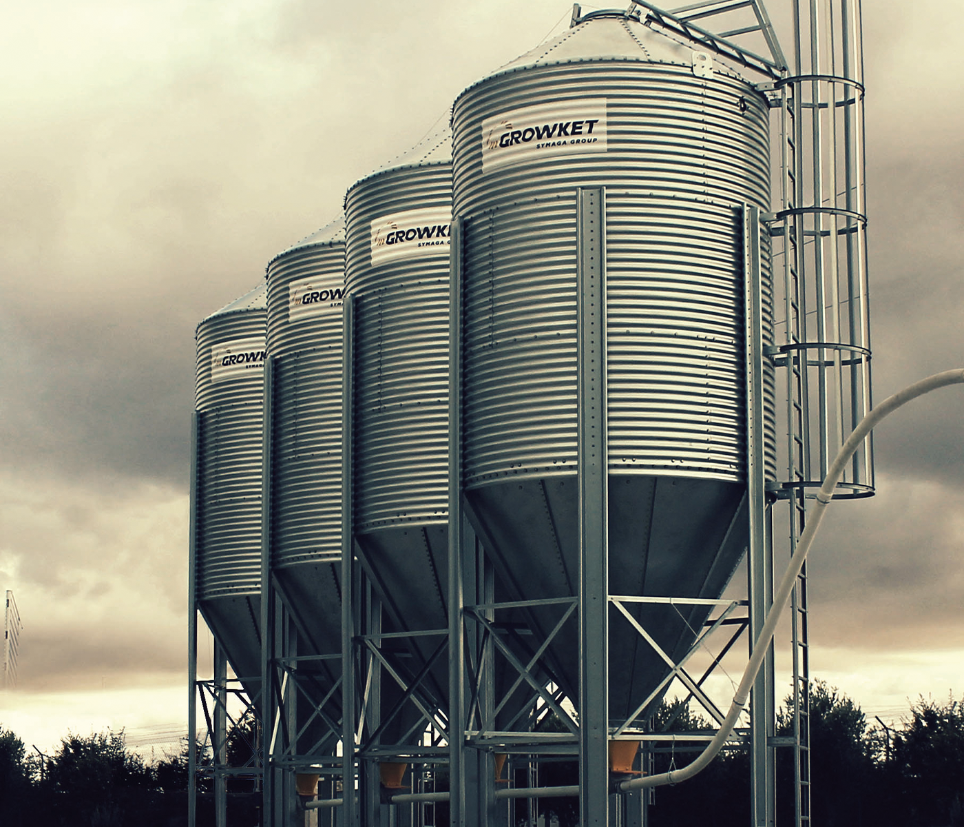 Nueva visión Growket: Ser referente en silos granja y sistema de distribución de pienso