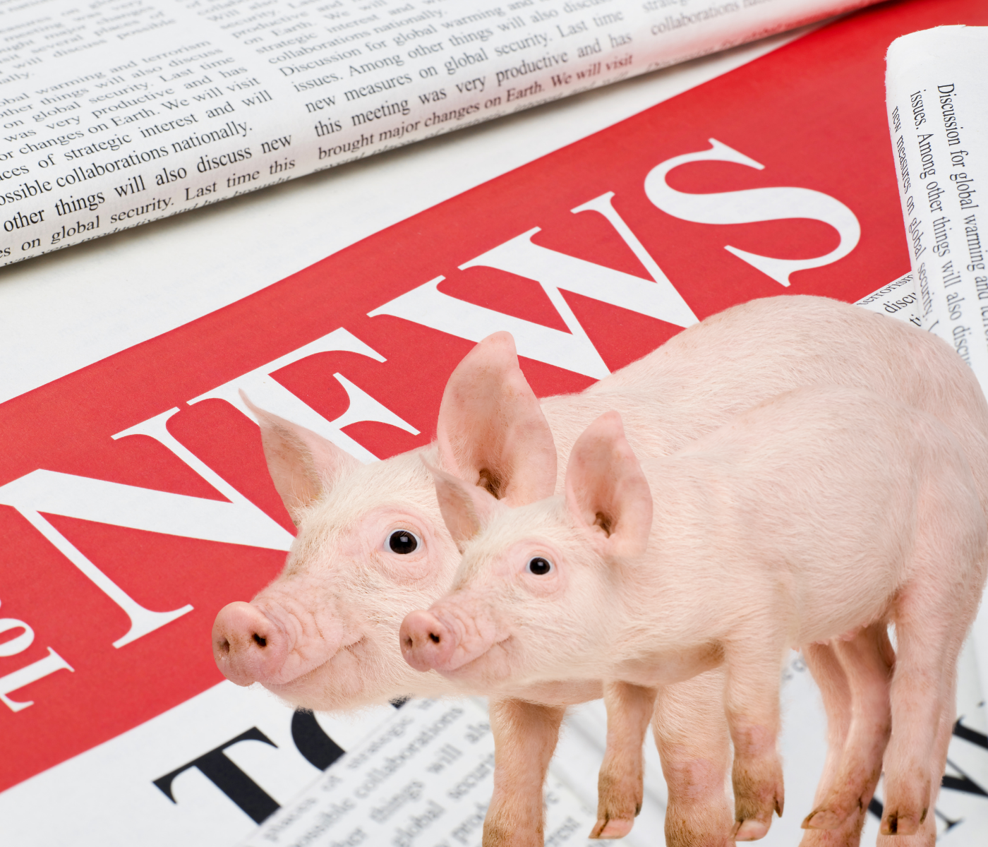 Preocupan las importaciones de carne porcina en Argentina