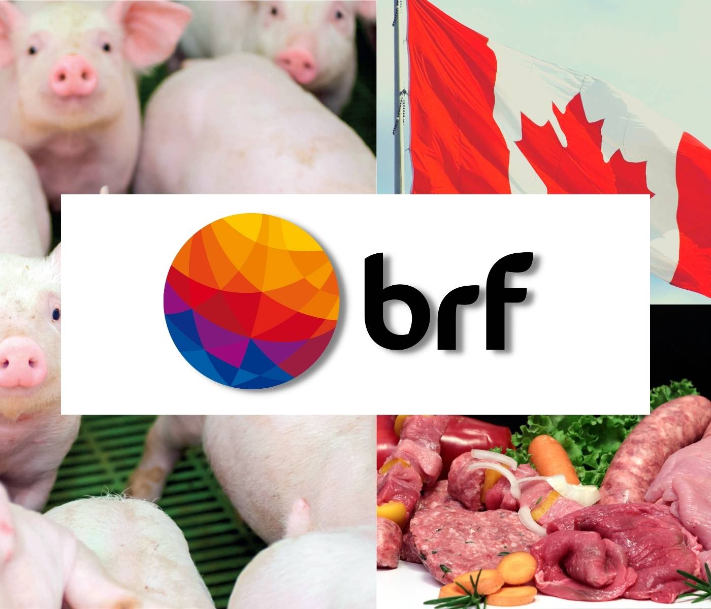 Unidade da BRF recebe habilitação para exportação de carne suína ao Canadá