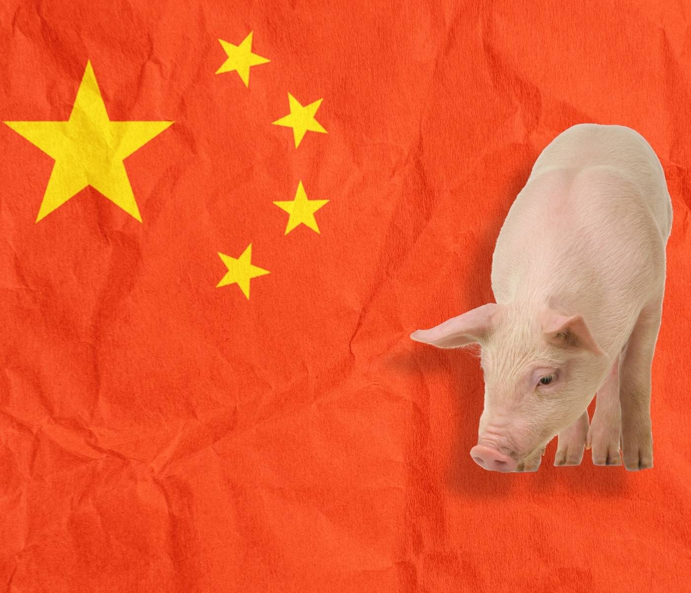 China: em busca da autossuficiência em carne suína