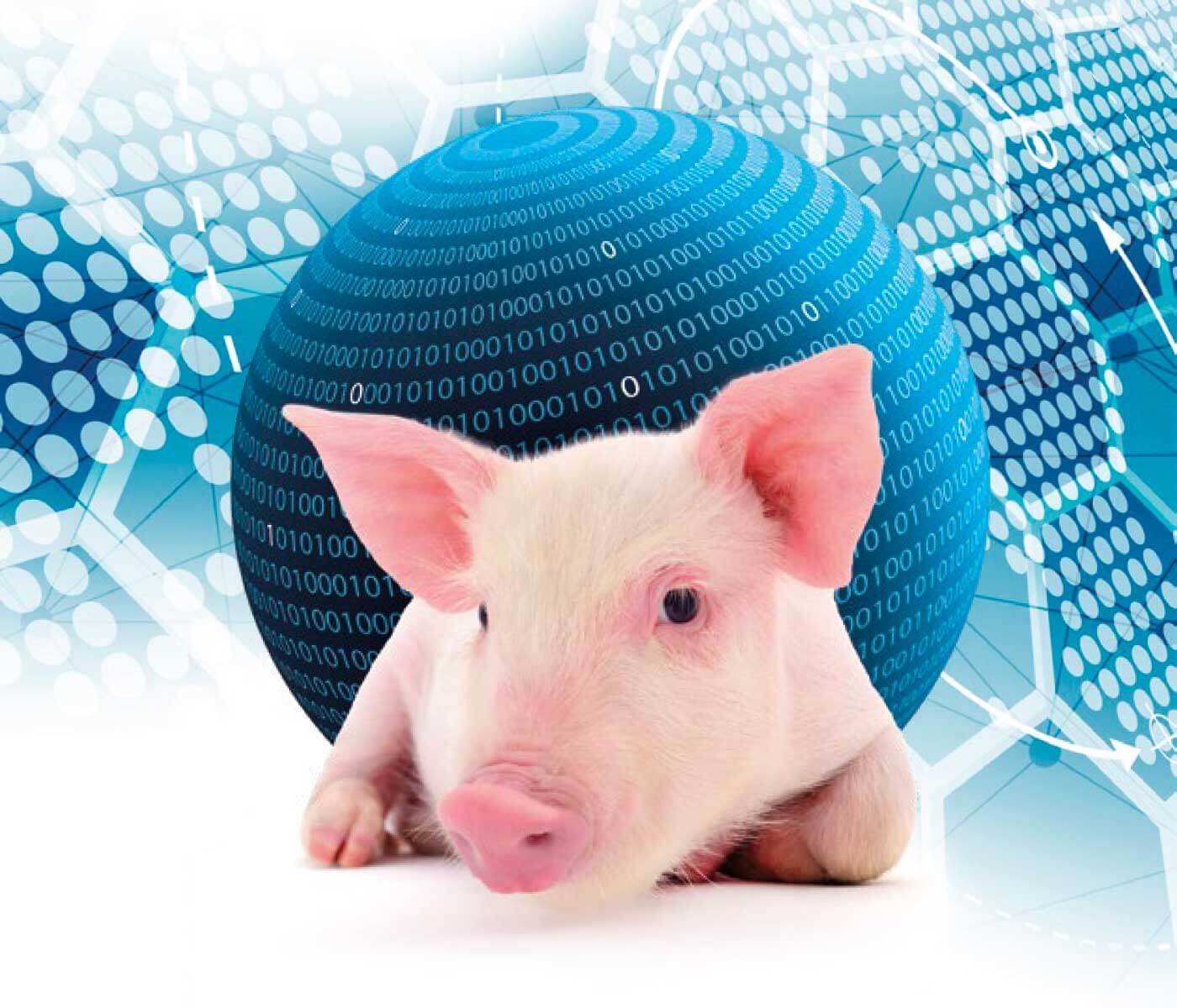 La transformación digital del sector porcino ya ha llegado