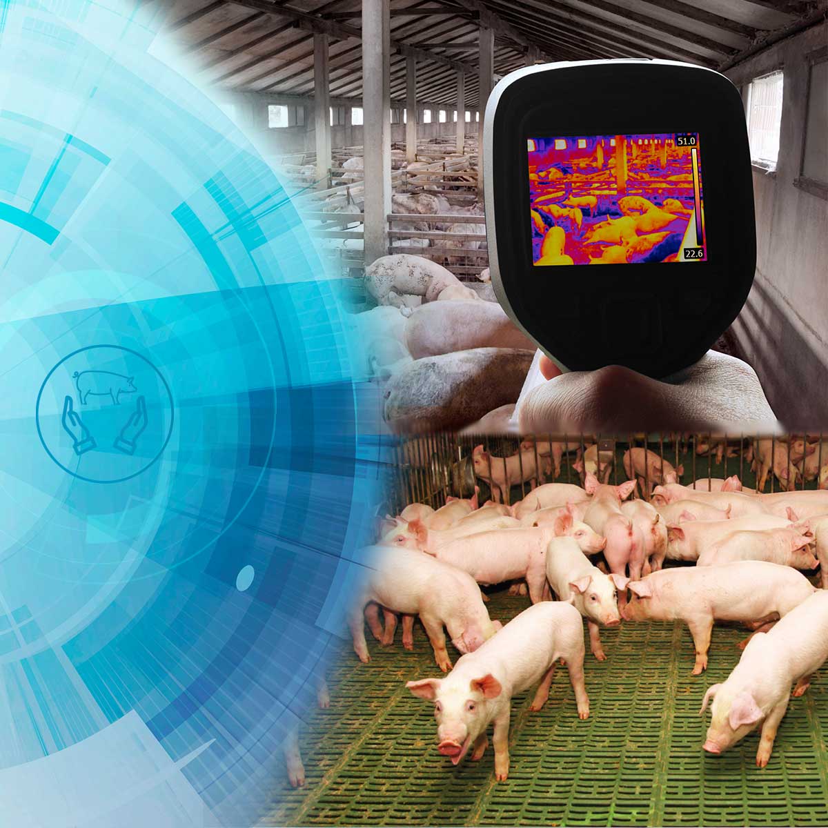 Tecnología al servicio del Bienestar y Sanidad Porcina