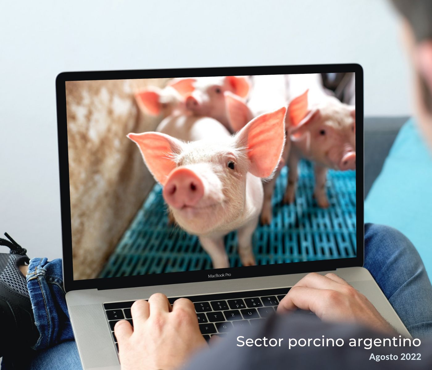 Informe del sector porcino argentino: agosto 2022