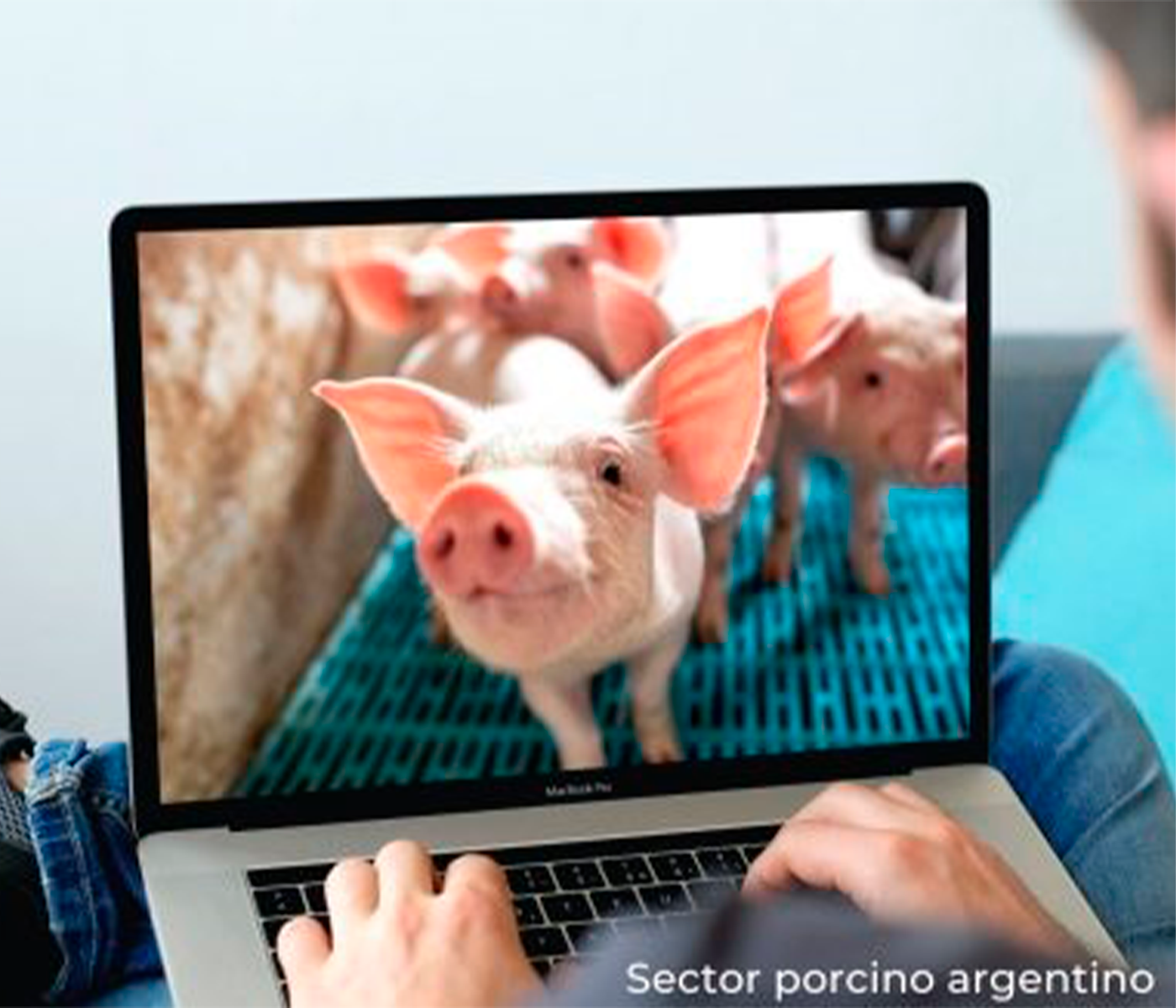 Informe del Sector Porcino Argentino – Noviembre 2022
