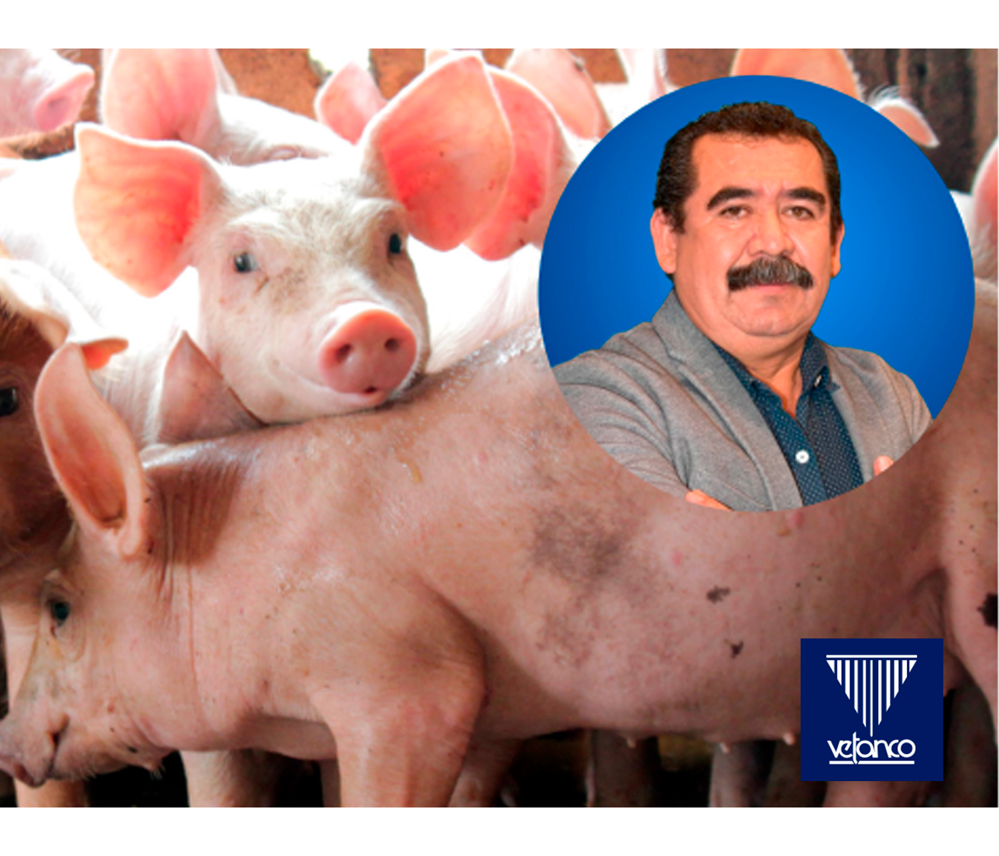 Uso de Herbanoplex CP en problemas entéricos de cerdos, provocados...