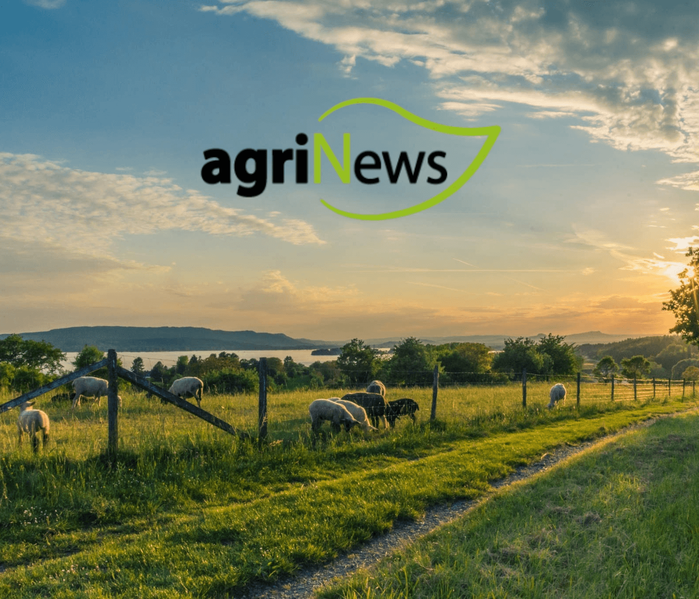 agriBusiness, el espacio de los líderes de las empresas agropecuarias
