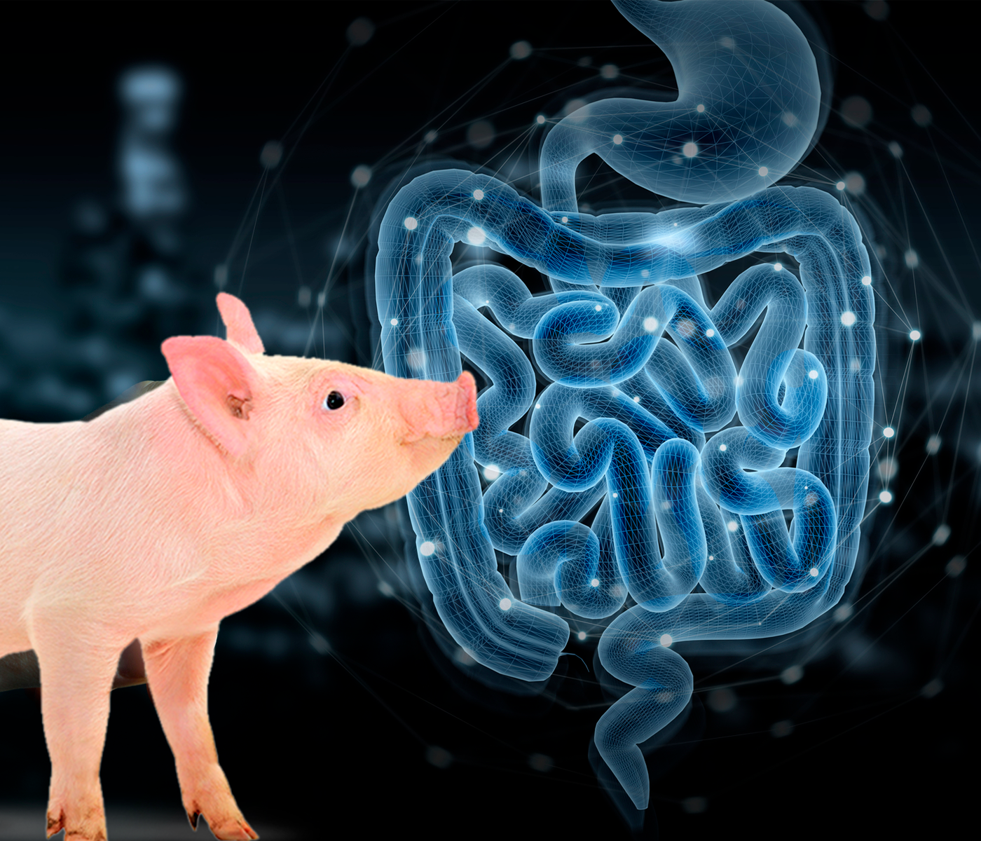 Interacción entre dieta, microbiota y sistema inmunitario