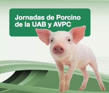 Jornada de porcino en la UAB y AVPC 2023