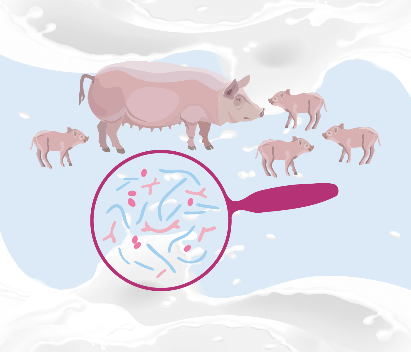 Influencia de la microbiota del calostro y de la leche de la cerda en la salud intestinal del lechón