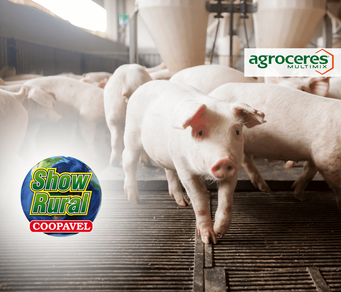 Agroceres Multimix marca presença no Show Rural da Coopavel com equipes de suínos e bovinos de leite