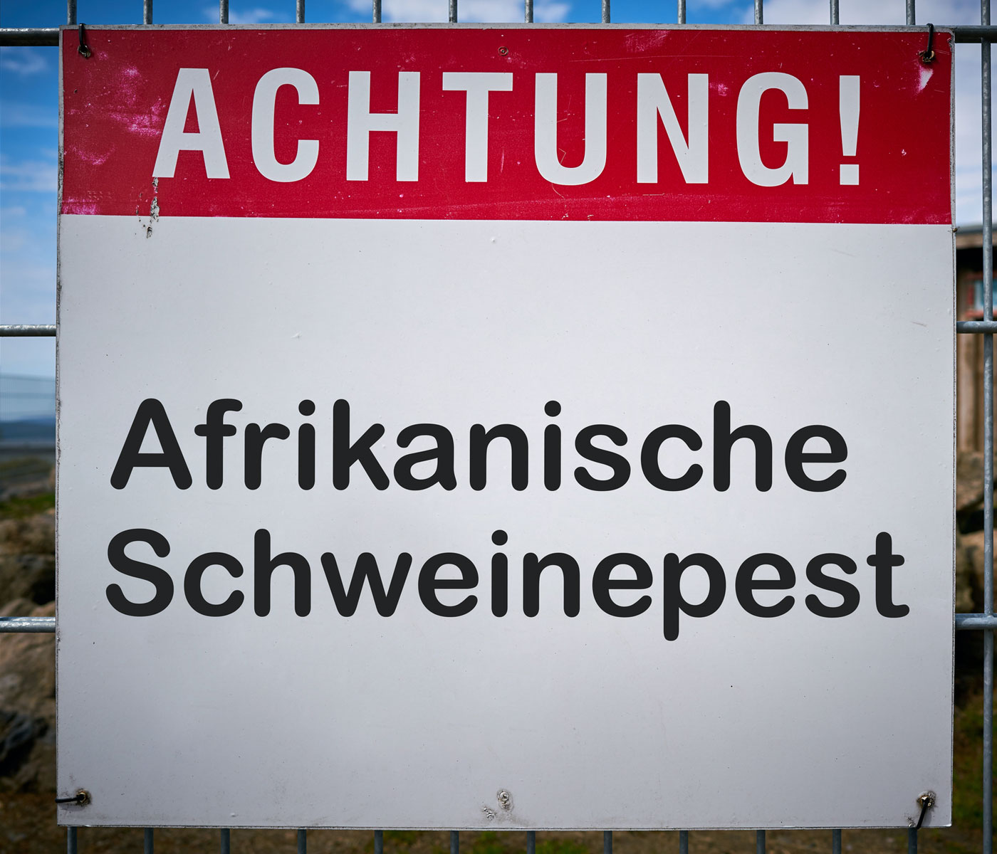 PPA en Alemania: Sajonia deja de ser zona de infección