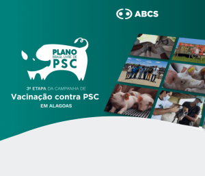 A Campanha de Vacinação Contra PSC em Alagoas finaliza a...