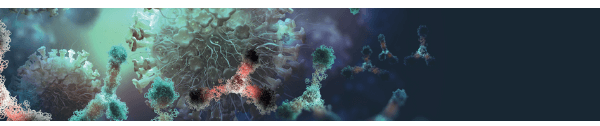Como a saúde intestinal pode impactar a saúde respiratória dos suínos via eixo microbiota-intestino-pulmão?