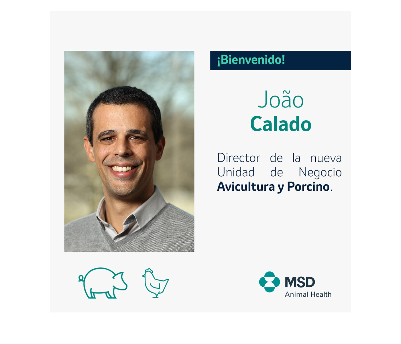 João Calado, nuevo director de la Unidad de Negocio de Avicultura y Porcino en MSD Animal Health España