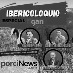 Ibericoloquio – Los retos del sector del Porcino Ibérico