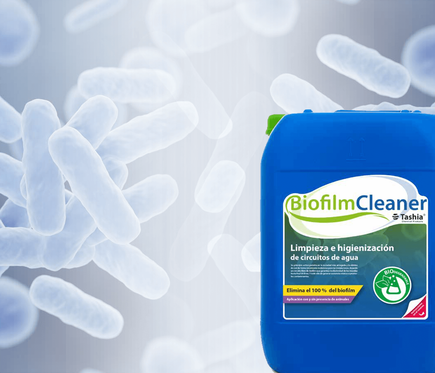 Biofilm Cleaner – Limpieza e higienización de circuitos de agua