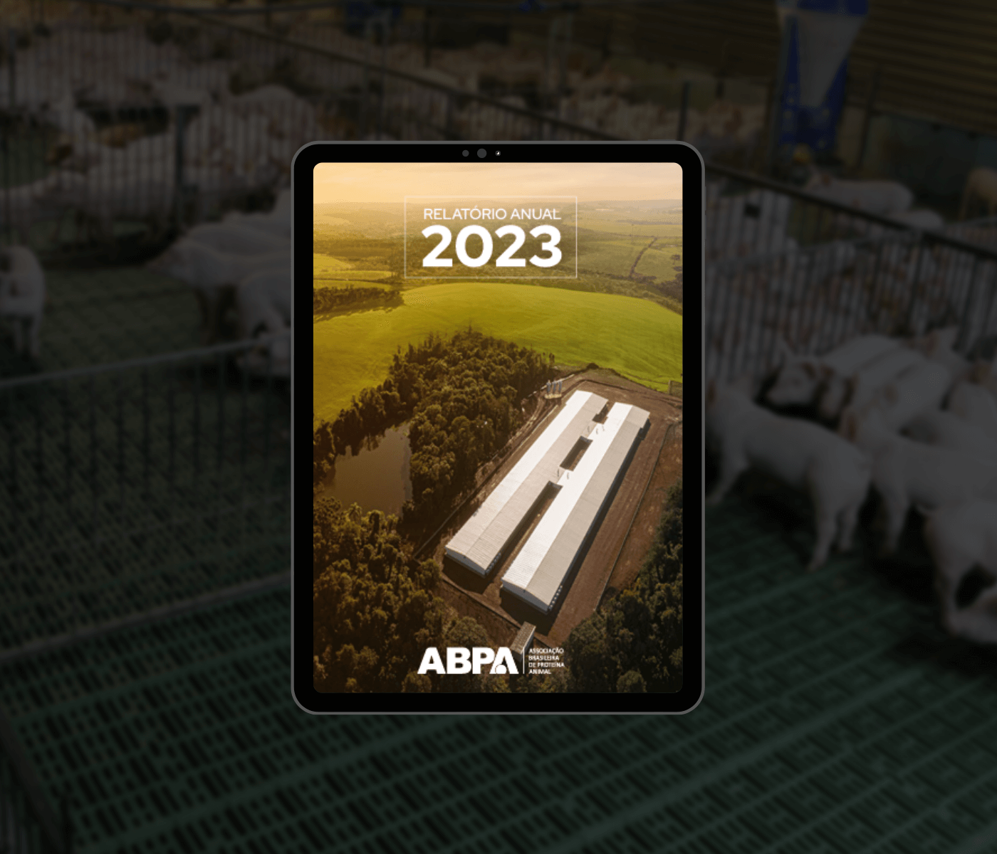 Relatório Anual 2023 da ABPA reúne amplo detalhamento de dados da suinocultura brasileira