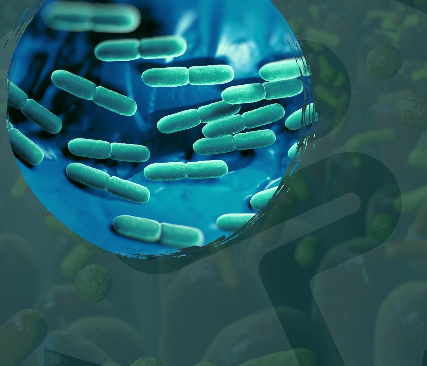 Microbiota e Integridad de la barrera intestinal – Claves para la salud intestinal