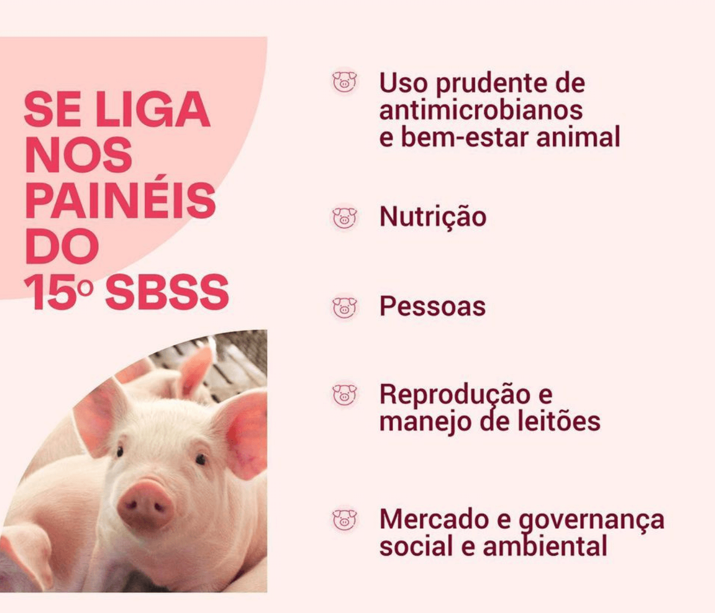 15º Simpósio Brasil Sul de Suinocultura terá cinco painéis temáticos