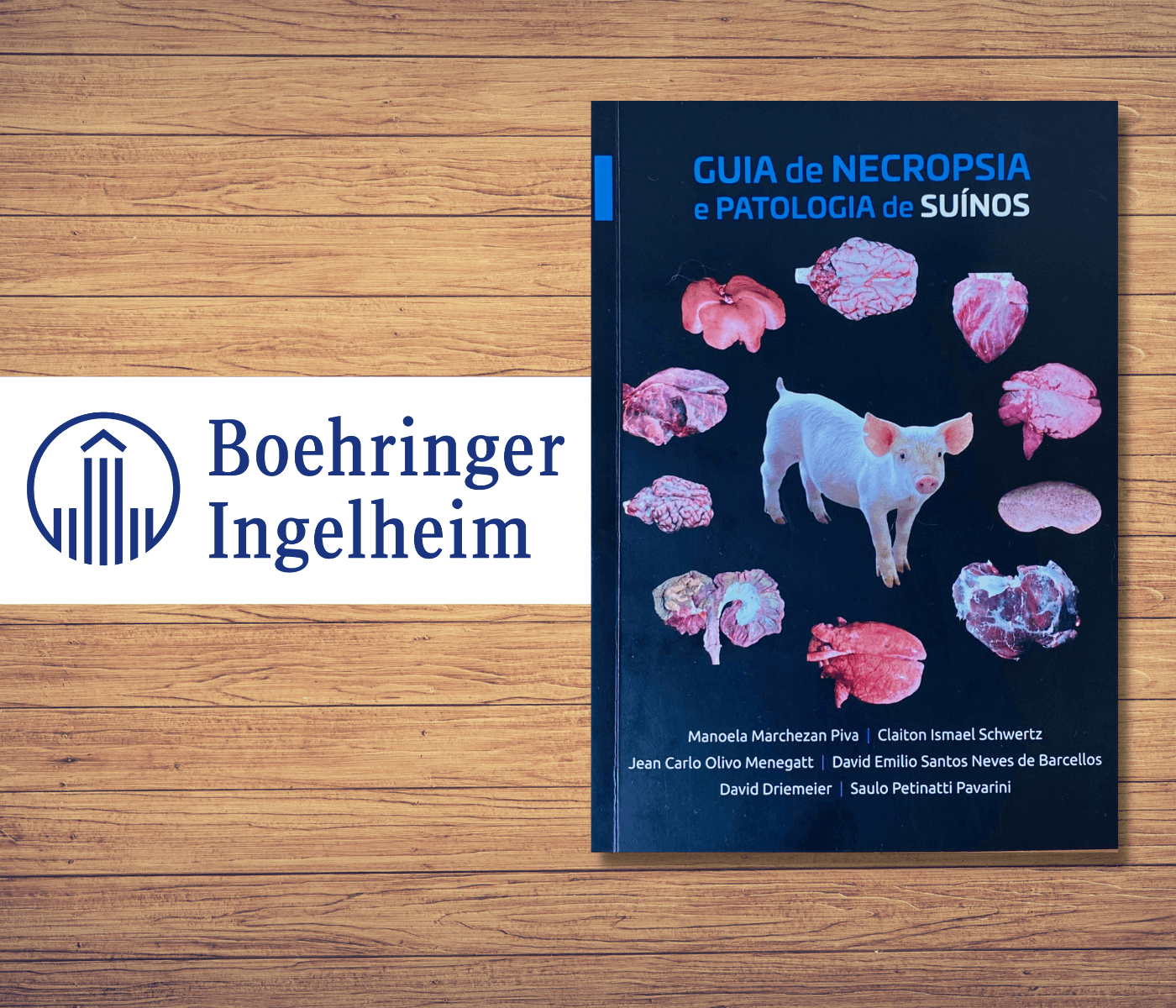 Boehringer Ingelheim lança o “Guia de Necropsia e Patologia de Suínos” em parceria com pesquisadores da UFRGS