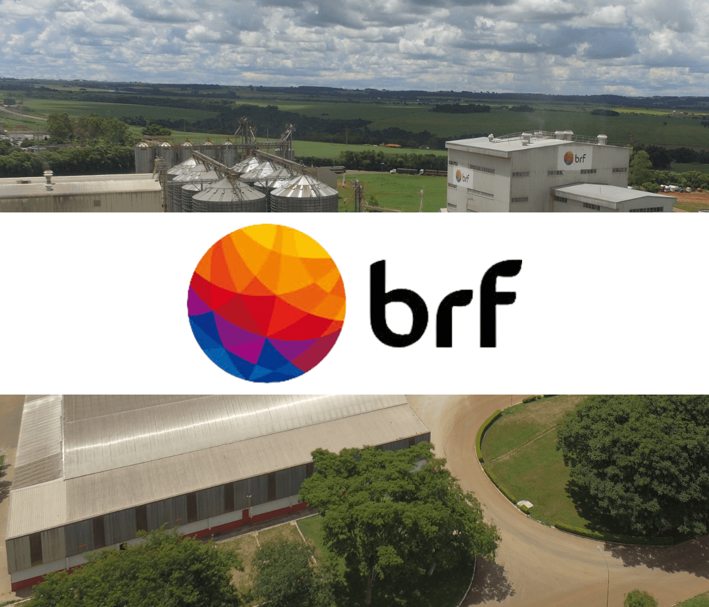 Relatório Integrado destaca avanços da BRF em 2022