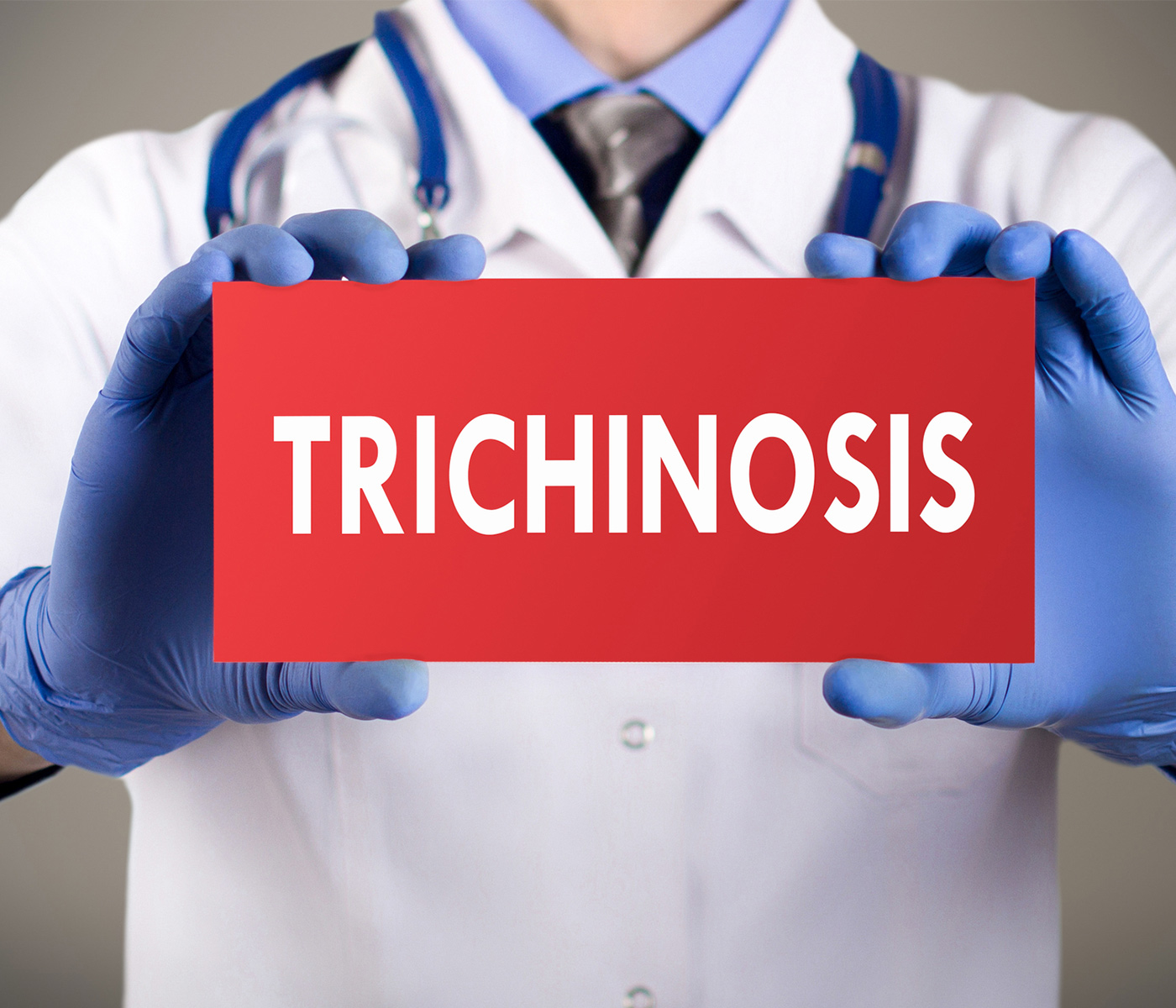 El Senasa informa sobre cómo prevenir la triquinosis, una enfermedad parasitaria endémica