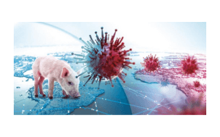 Taller en Panamá: Avances en la Prevención y Control de la Peste Porcina Africana en América Latina