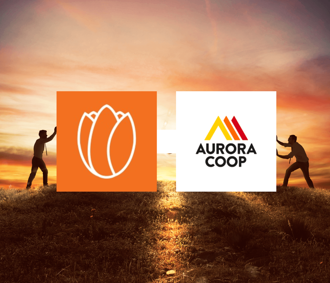 Cooperativas Frísia, Castrolanda e Capal passam a integrar o quadro de associadas da Aurora Coop
