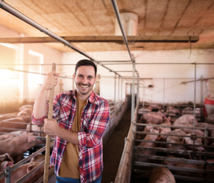 Trabajo esencial: la granja porcina alimenta al mundo