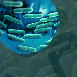 Microbiota Intestinal