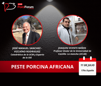 En el capítulo 2 del porciFORUM Latam TV indagamos en la PPA junto con José Manuel Sánchez-Vizcaíno y Joaquín Vicente Baños.