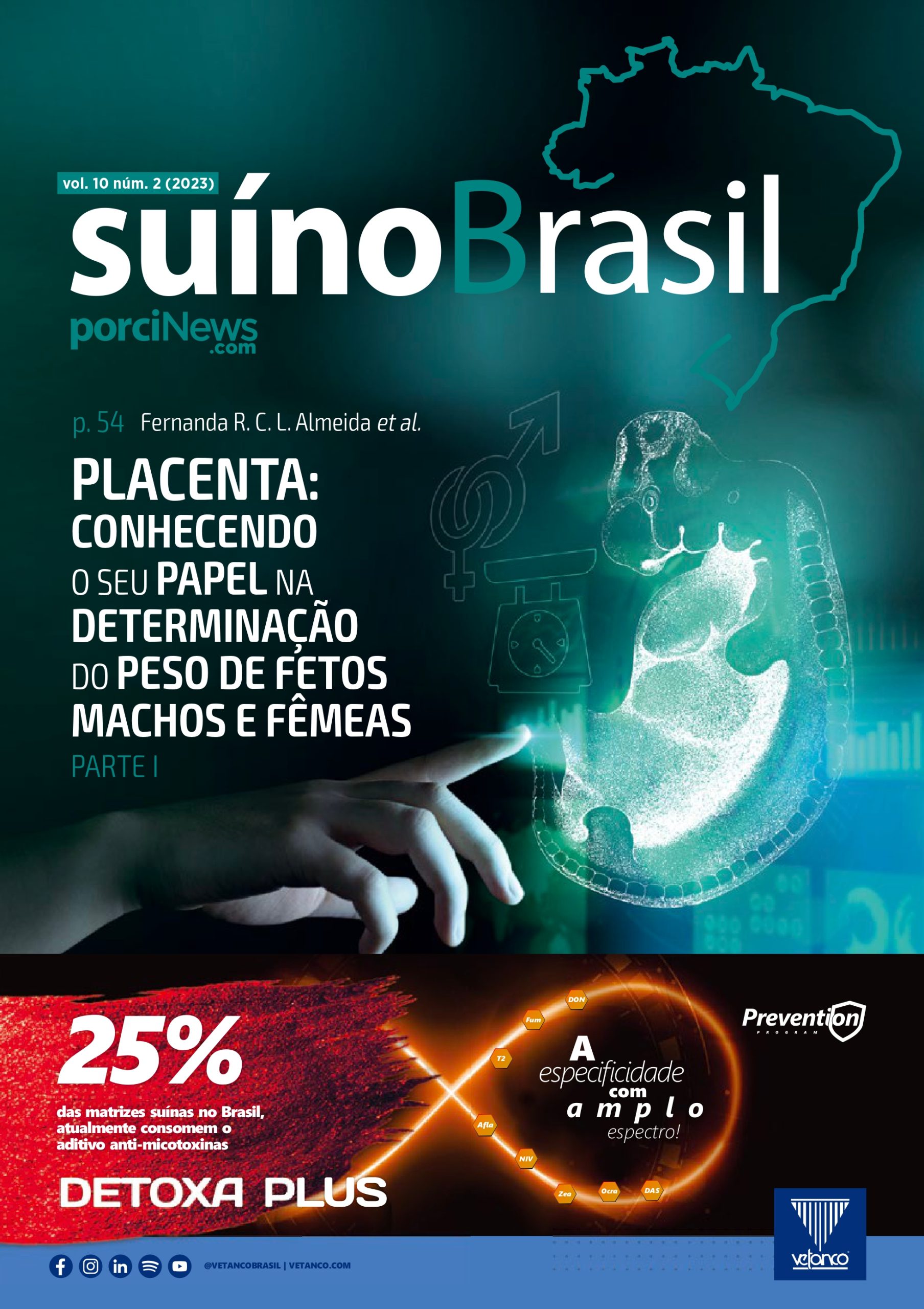 suínoBrasil 2º TRI 2023