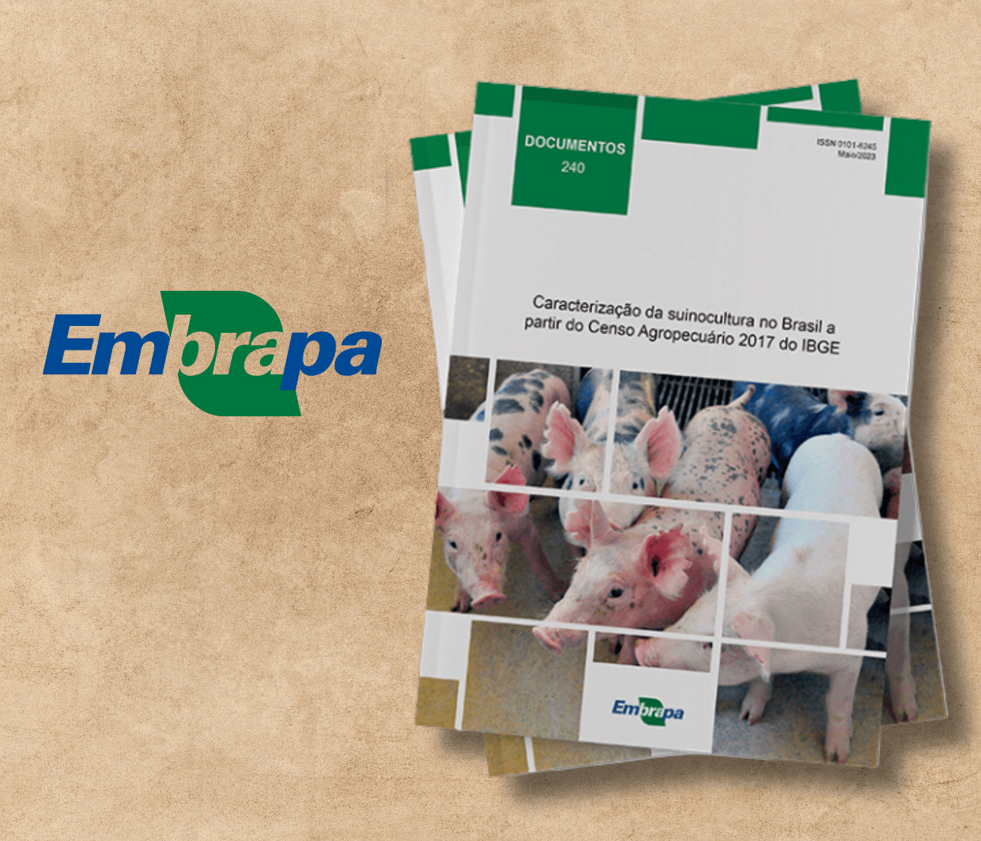 Publicação da Embrapa destaca caracterização da suinocultura no Brasil