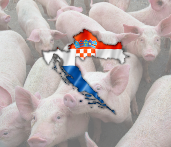 La peste porcina africana avanza en Croacia y ya se contabilizan 59 brotes en granjas de cría de cerdos domésticos desde finales de junio.