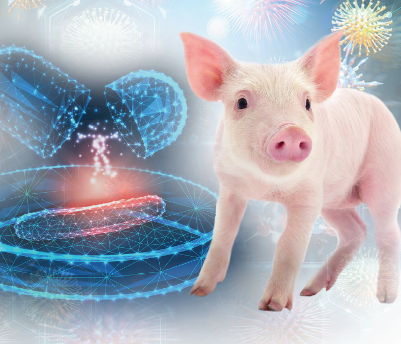 Uso responsable de antimicrobianos en el ámbito porcino en LATAM, el futuro ya llegó