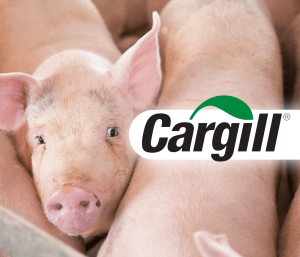 Cargill lança UTMOST®, pacote de soluções para melhoria comprovada da conversão...