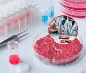 Carne cultivada en laboratorio: Brasil avanza en su producción