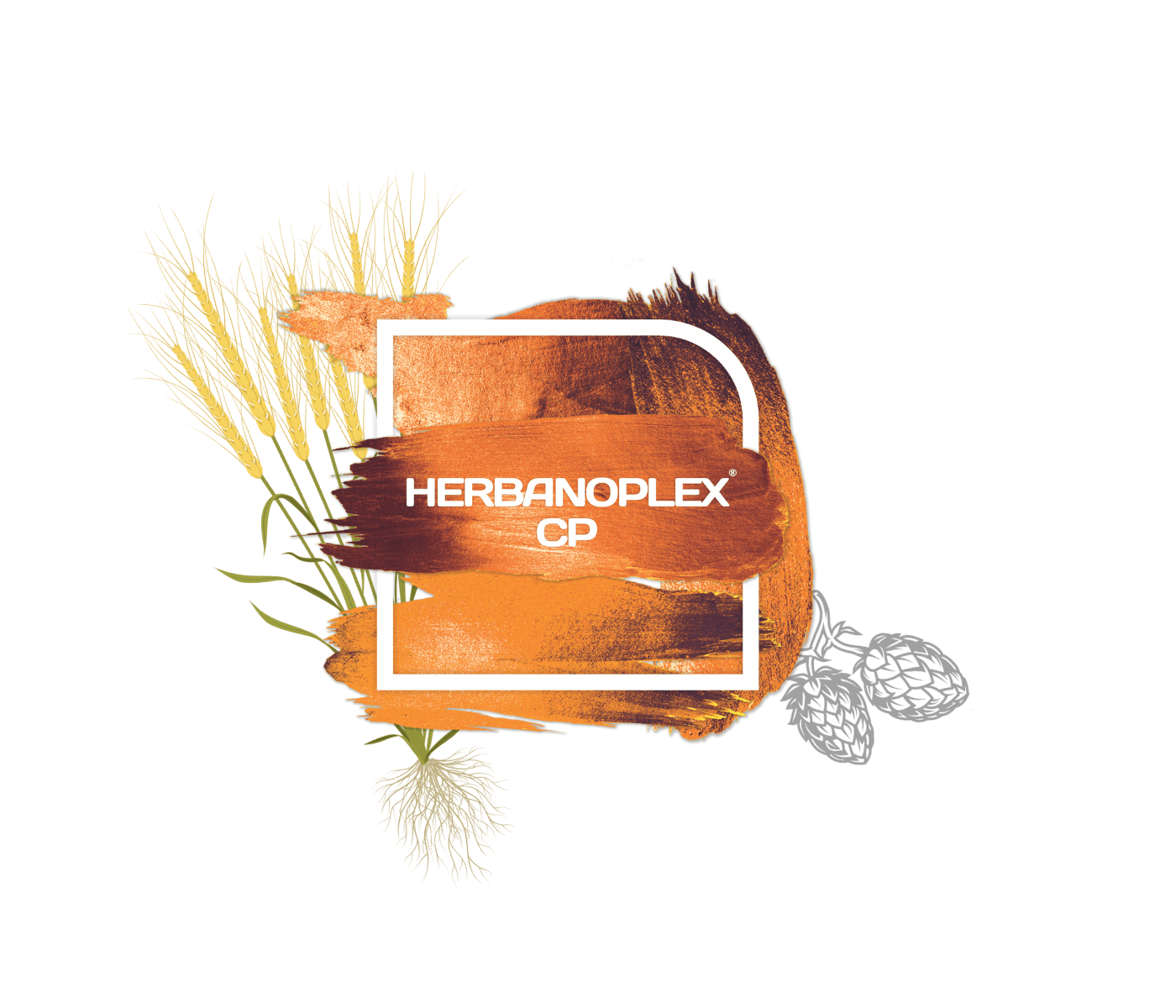 HERBANOPLEX CP