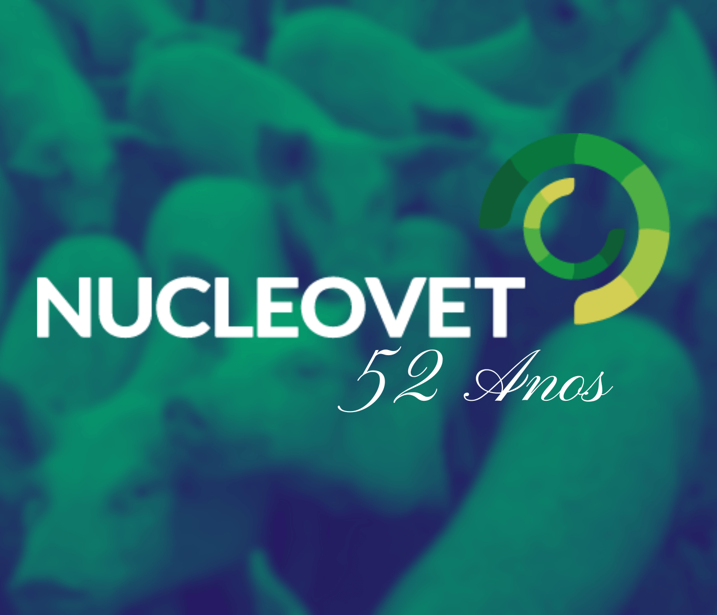 Nucleovet: 52 anos fortalecendo a classe médica veterinária e zootécnica