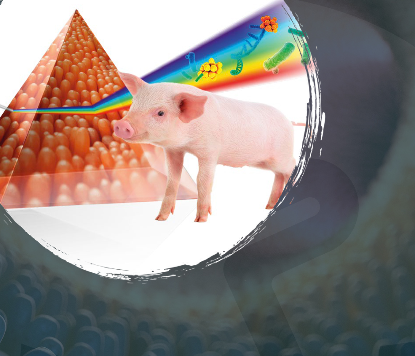 Monitorización de la salud intestinal en producción porcina: Biomarcadores y...