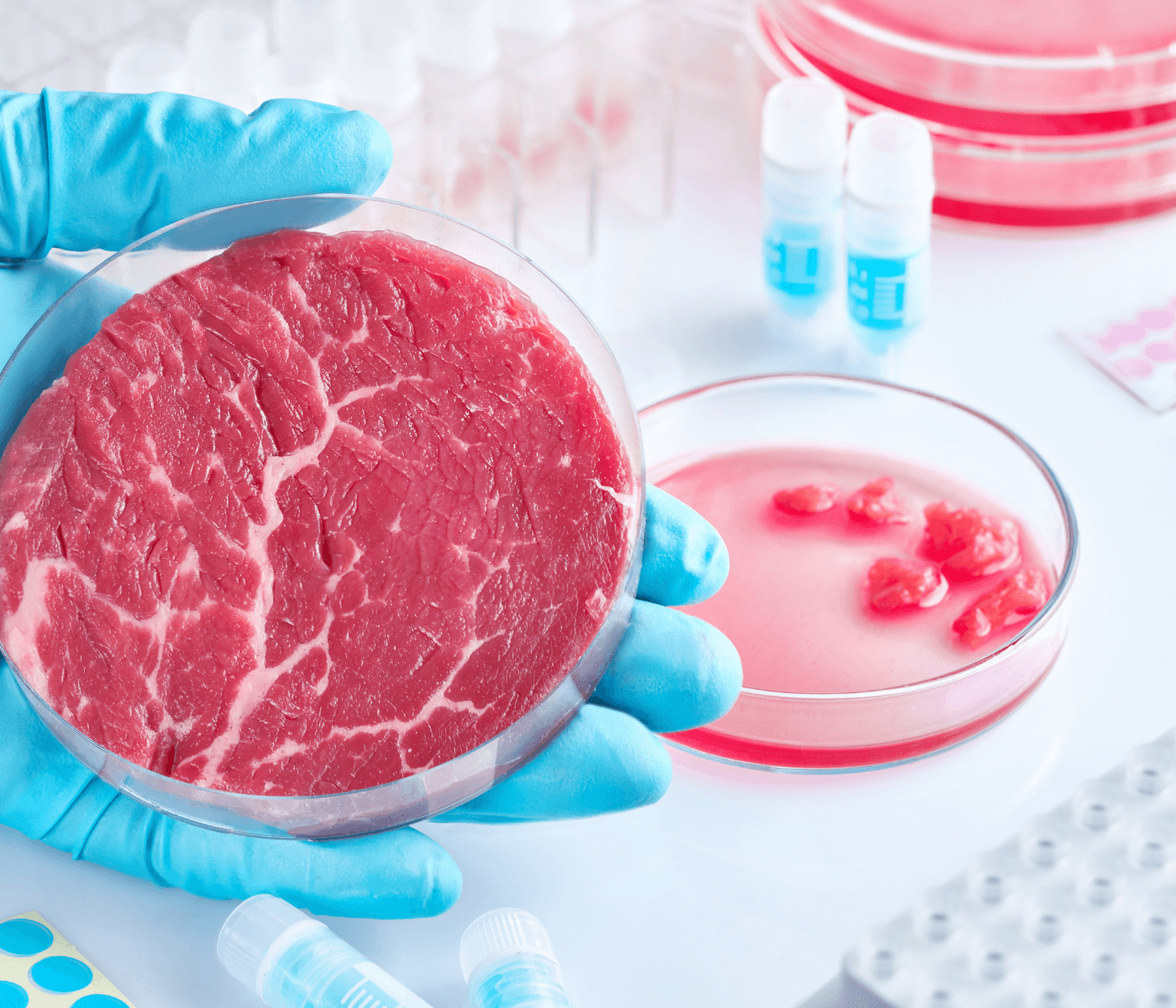 Carne de Laboratorio: Italia pionera en la UE ya la prohíbe