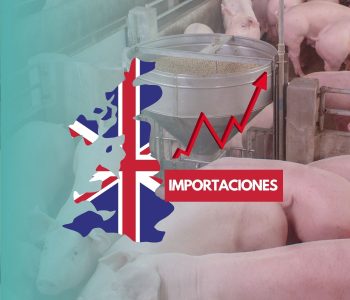 El nivel más bajo del censo porcino en Reino Unido en la última década hace que aumenten las importaciones de carne de cerdo en el país.
