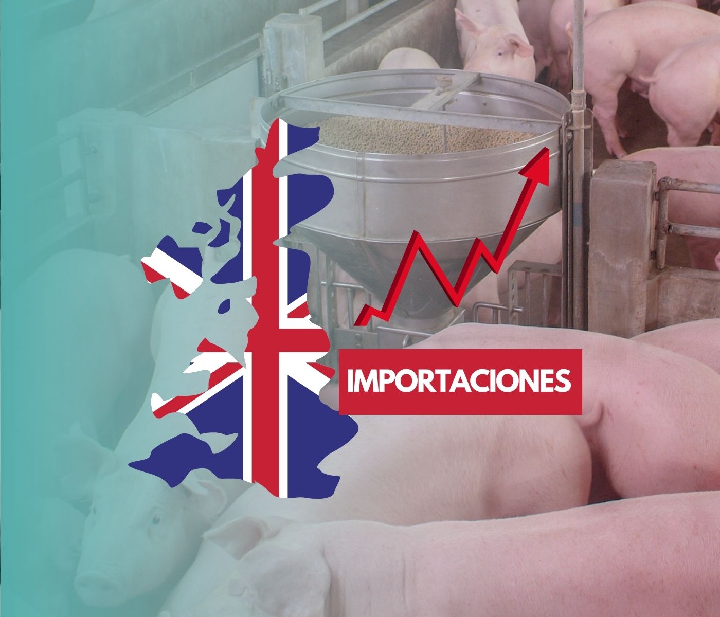 Crecen las importaciones de carne de cerdo en el Reino Unido debido al bajo censo de la última década 
