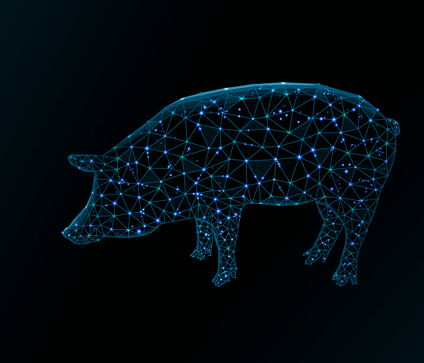 Por qué la visión por ordenador y la transformación digital son vitales para los cerdos – Un enfoque sinérgico con Datamars Livestock y Serket