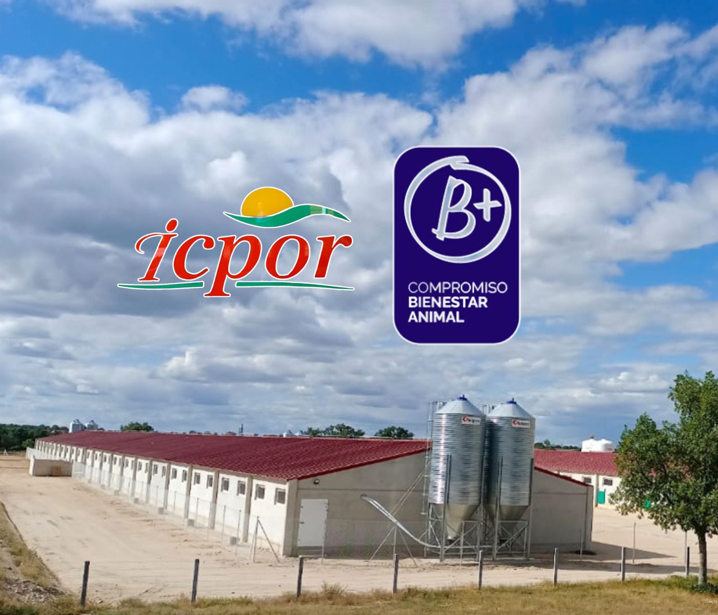 ICPOR recibe la certificación B+ Compromiso bienestar animal con la máxima calificación