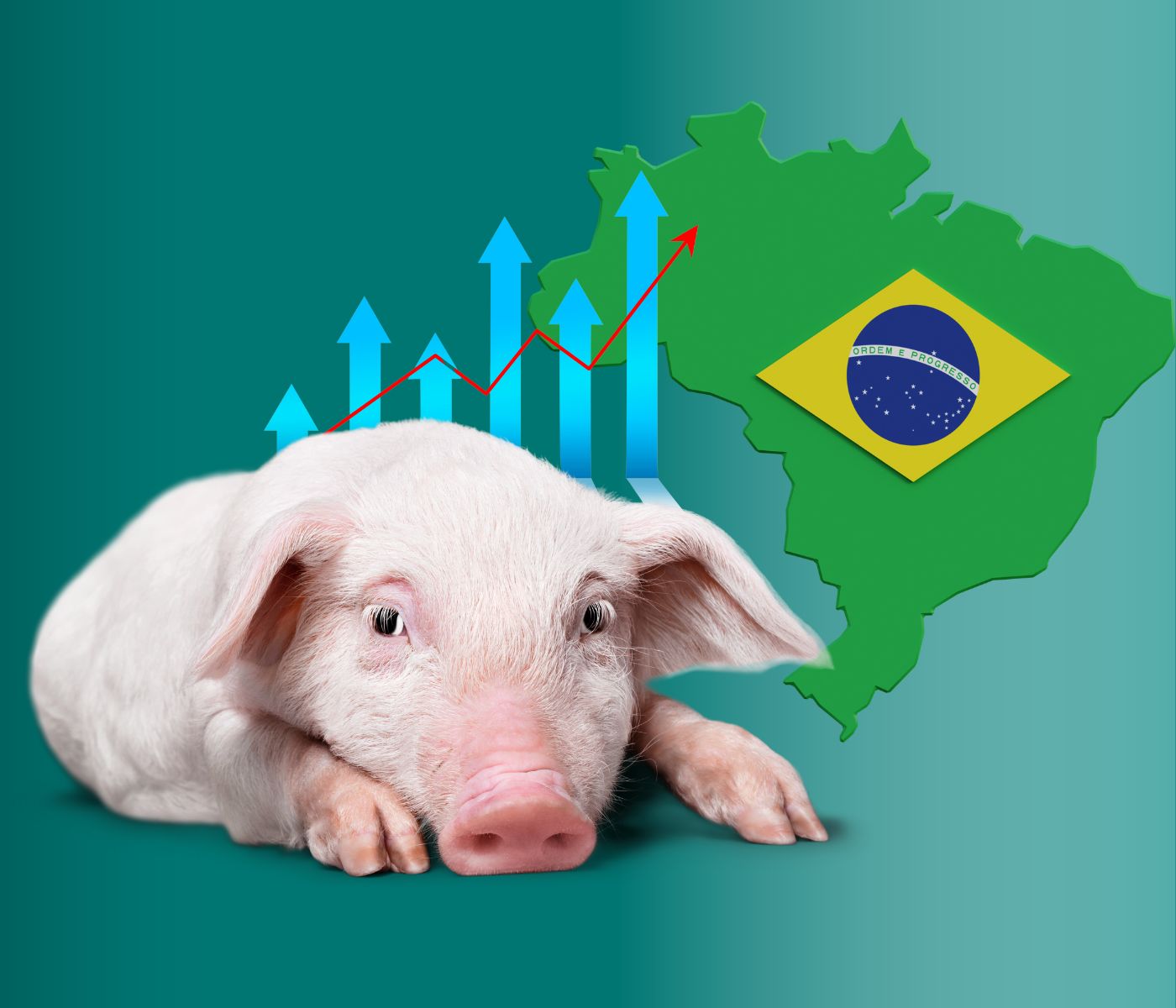 Las exportaciones brasileñas de carne de cerdo son récord en 2023